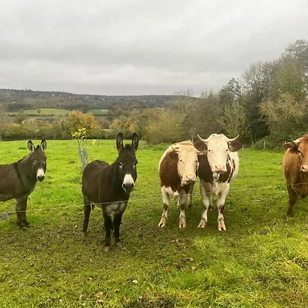 Gites, Les Fontaines De Normandie * Saint-Julien-sur-Calonne