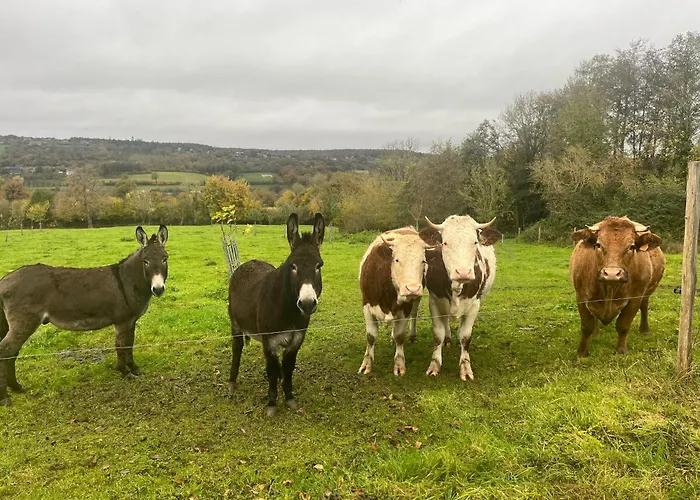 Gites, Les Fontaines De Normandie * Saint-Julien-sur-Calonne